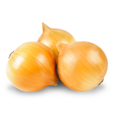 Лук репчатый